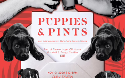 Puppies & Pints